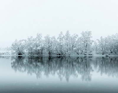 Совет мира потребовал от ХАМАС согласиться на демилитаризацию Газы до конца недели - NYT