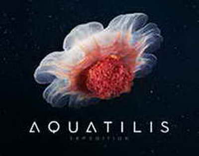 Гарбер: Каким же великим игроком Салах был бы в МЛС!