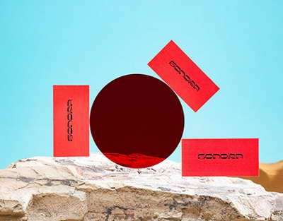 Череповецких дачников учили пользоваться пилами и секаторами